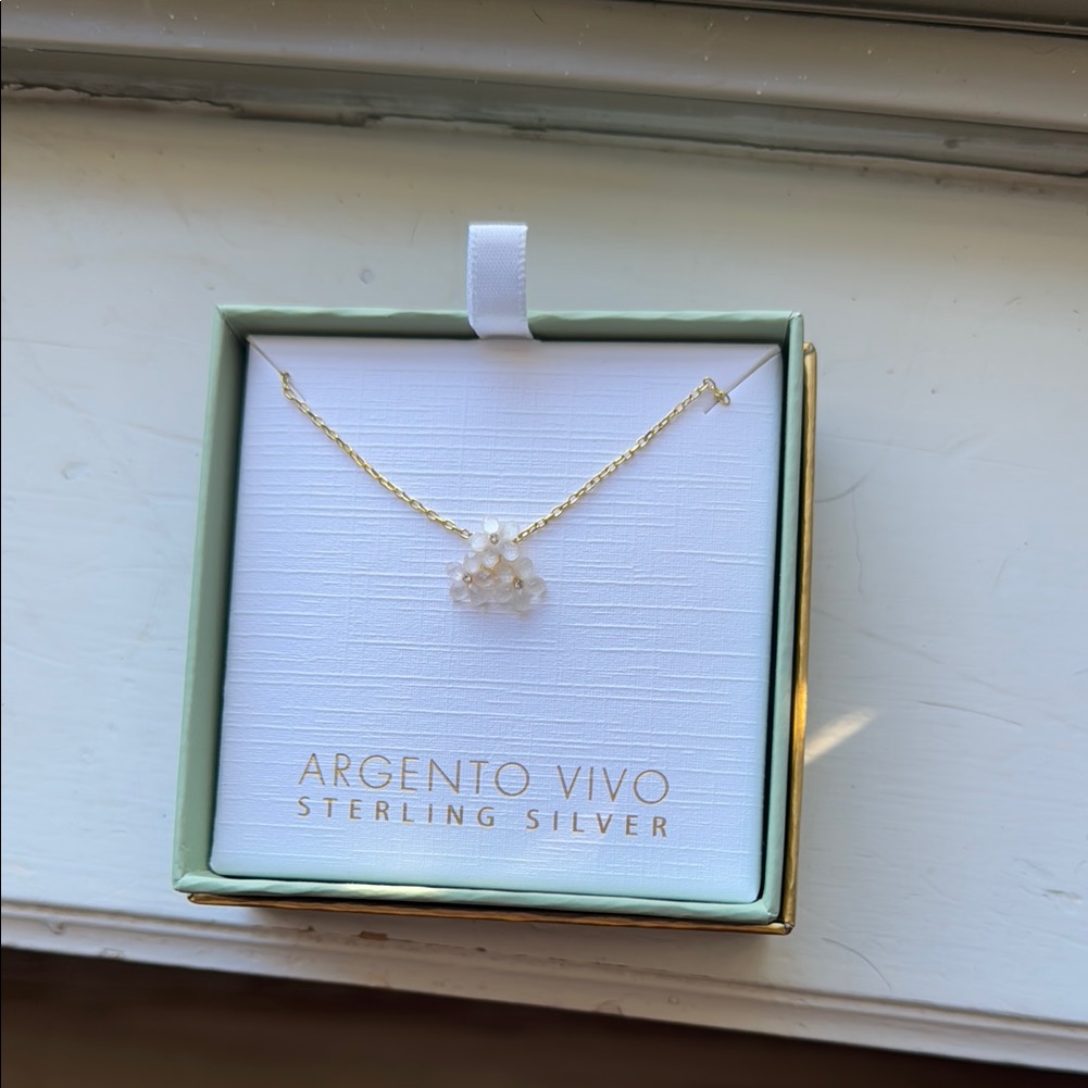 Argento Vivo Sterling Silver Necklace - Gold 30$